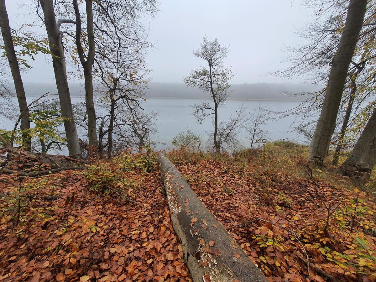 Bukowa Ostoja Nakielno Exterior foto